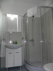 Cristuru SecuiescMotel Fogado的带淋浴和盥洗盆的浴室