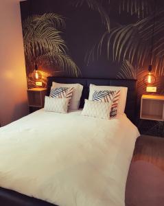 弗朗科尔尚L'Essentiel à Francorchamps的卧室配有一张带两个枕头的大白色床