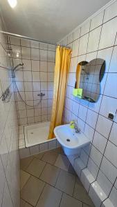 DzierzążnoKaszuby, agroturystyka z alpakami- pokój z łazienką的浴室配有水槽、淋浴和浴缸。