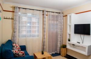 奈瓦沙Nelly fully furnished studios的客厅设有蓝色的沙发和窗户。