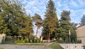 茨卡尔图博Hotel Giorgi的一座种有树木、围栏和房屋的花园