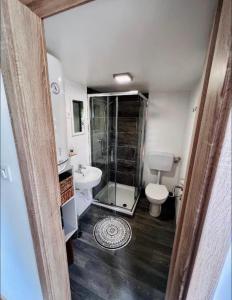 Šmartno ob PakiOPA Resort的带淋浴、卫生间和盥洗盆的浴室