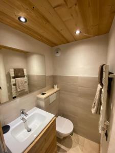 阿尔利河畔普拉兹Studio face aux pistes的浴室配有白色水槽和卫生间。