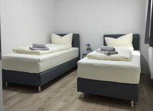 戈特马丁根2 Zimmerwohnung in Bietingen的配有白色床单和灰色枕头的客房内的两张床