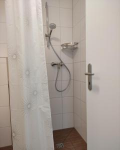 戈特马丁根2 Zimmerwohnung in Bietingen的浴室内配有淋浴帘。