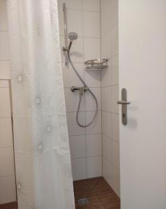 戈特马丁根2 Zimmerwohnung in Bietingen的浴室内配有淋浴帘。