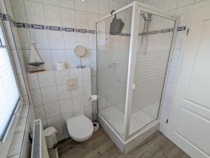 诺德代希Das Inselhaus的带淋浴和卫生间的浴室