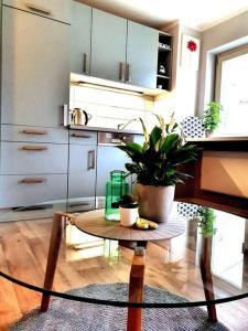 罗斯托克Rostock hautnah erleben - schöne Maisonette 2OG的厨房里摆放着盆栽植物的桌子