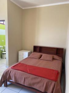 塔里哈Dpto Bolivar Hermoso, amplio y bien ubicado en la chura Tarija的一间卧室配有一张带红色毯子的大床