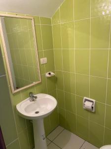 塔里哈Dpto Bolivar Hermoso, amplio y bien ubicado en la chura Tarija的绿色浴室设有水槽和镜子