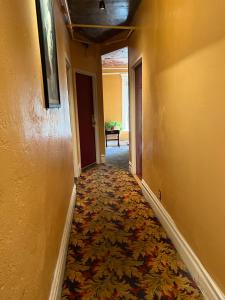 旧金山鲁兹酒店的地板上铺着地毯的空走廊