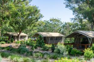 One MilePort Stephens Koala Sanctuary的花园中的一组帐篷