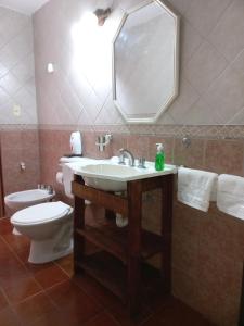 萨尔塔SUMAQ WASICHA SALTA的一间带水槽、卫生间和镜子的浴室