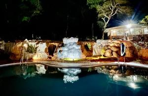 ChegātPugmarks Jungle Lodge的游泳池中间的喷泉