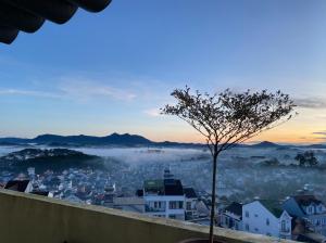 大叻Century House的远处城市的雾景