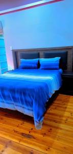 彼得马里茨堡Pmb Guest House的一张上面有蓝色灯光的床
