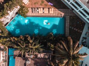 巴加The Park Baga River Goa - Adults only Property的享有棕榈树游泳池的顶部景致