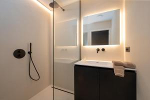 阿尔斯特Georges & Madeleine Apartments的一间带水槽和淋浴的浴室