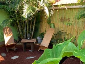 厄唐萨雷Le Dodo Salé的庭院里种有植物,配有两把椅子和一张桌子