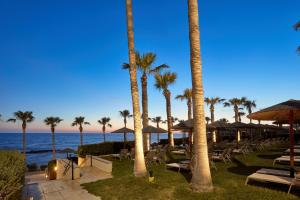 帕福斯Atlantica Golden Beach Hotel - Adults Only的棕榈树和椅子以及海洋的度假胜地