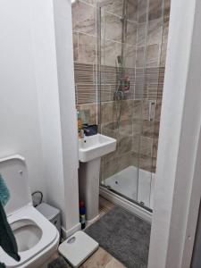 格雷夫森德Beautiful and modern House in Gravesend的带淋浴、卫生间和盥洗盆的浴室