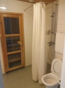 埃斯波FREE Sauna and Laundry, 5min to Metro, 15min to Center的一间带卫生间和淋浴帘的浴室