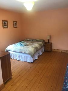 利敦瓦纳Ballygastle的一间卧室配有一张床,铺有木地板