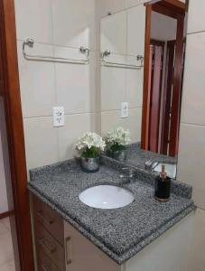 圣若阿金Apê aconchegante e quentinho em São Joaquim的一间带水槽和镜子的浴室