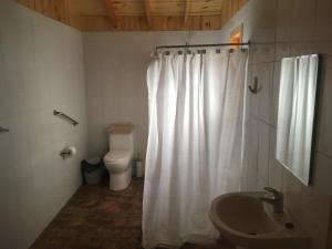 Los QueñesLos Quenes River Lodge的浴室配有白色的浴帘和卫生间