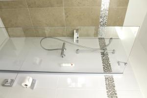 特尔纳瓦Hotel Arena的玻璃淋浴间,带卫生纸卷