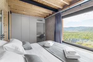 莫托文Villa Terra Motovun的一间卧室设有一张床和一个大窗户