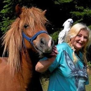 奈斯特韦兹The parrot hotel, live in a rescue animal park的站在马旁的女人,肩上有一鸟