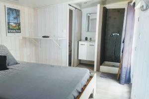 Le LambertStudio Airbn'Beer的一间卧室配有一张床,一间设有淋浴。