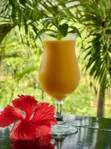 Crescent BeachFirefly Estate Bequia的一杯橙汁和一张红花在桌子上