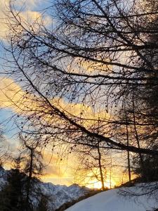 帕苏德尔托纳莱米拉蒙缇大酒店的雪中树枝的日落