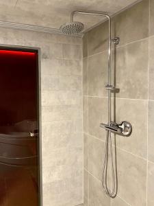 布鲁塞尔Superbe logement près de Bruxelles avec spa privé的带淋浴的浴室和卫生间