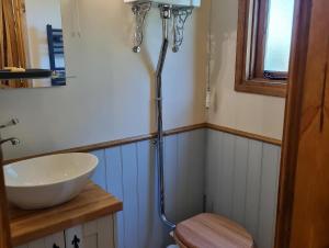 诺里奇The Owls Rest Shepherds Hut Hethel的带淋浴、卫生间和盥洗盆的浴室