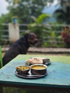 瑞诗凯诗Nature Villa的一张桌子,上面有一些食物,上面有狗