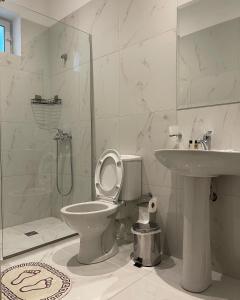 萨兰达Deni's Hotel的浴室配有卫生间、盥洗盆和淋浴。
