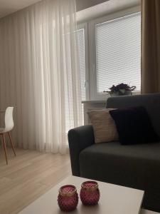 劳耶克特普利采Apartman Hestia的带沙发和窗户的客厅