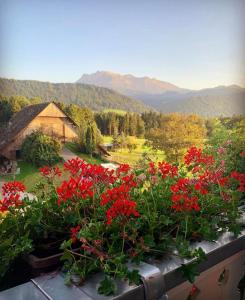 卢塞恩Apartment auf dem Bauernhof的阳台享有花园的红色鲜花景致