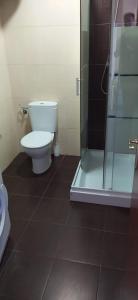 哈罗Apartamento Haro Wine Experience的一间带卫生间和玻璃淋浴间的浴室