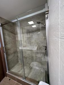 维纳德马Terrazas de Cochoa的浴室里设有玻璃门淋浴
