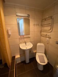 纳尔瓦约埃苏Laine guesthouse的一间带水槽、卫生间和镜子的浴室