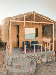 努韦巴Sinai Life Beach Camp的小屋设有两把椅子,享有海景