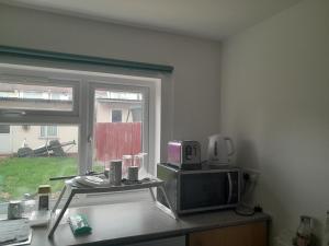 伦敦Lovely 1-Bed Studio in London的厨房配有微波炉和窗户。