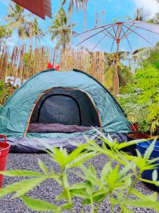 Ban NuaGanja Gardens Camping的绿色帐篷,地面上配有雨伞