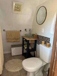 塞拉纳镇Cabaña Nórdica muy cómoda para unos días de relax的一间带卫生间、水槽和镜子的浴室
