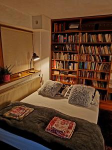 马汀Martin´s House的一间卧室设有两张床,书架上摆放着书籍。