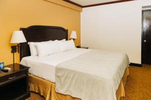 圣萨尔瓦多Plaza Hotel and Suites的酒店客房带一张大床,带白色床单